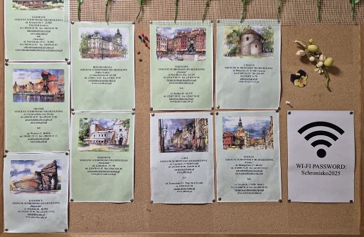 უფასო Wi-Fi ჰოსტელში